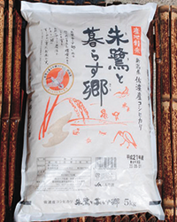 k04_tokito